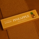 Pineapple PI back.png